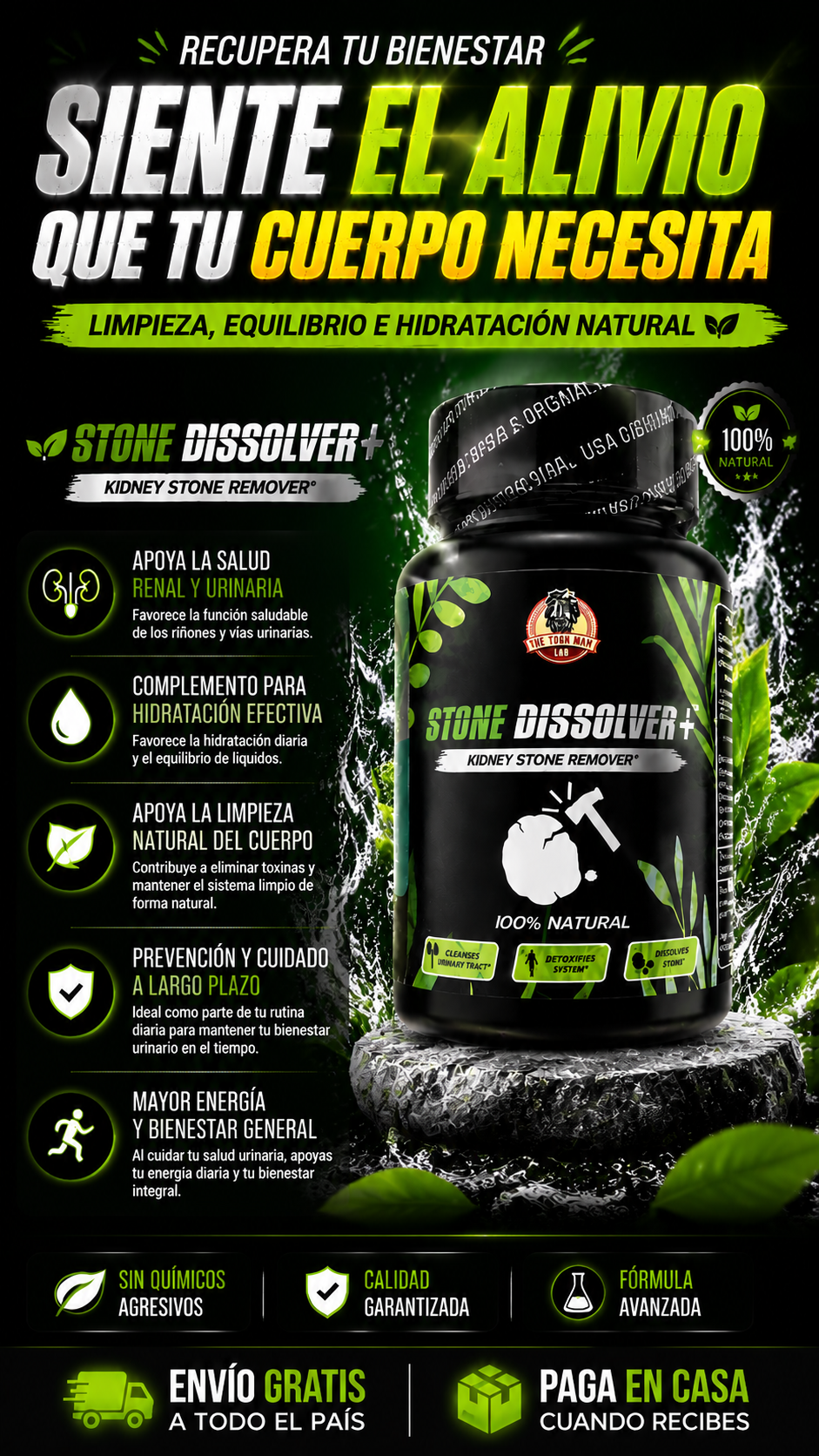 Stone Dissolver+™ – Bienestar Renal Todos los Días+30 Capsulas